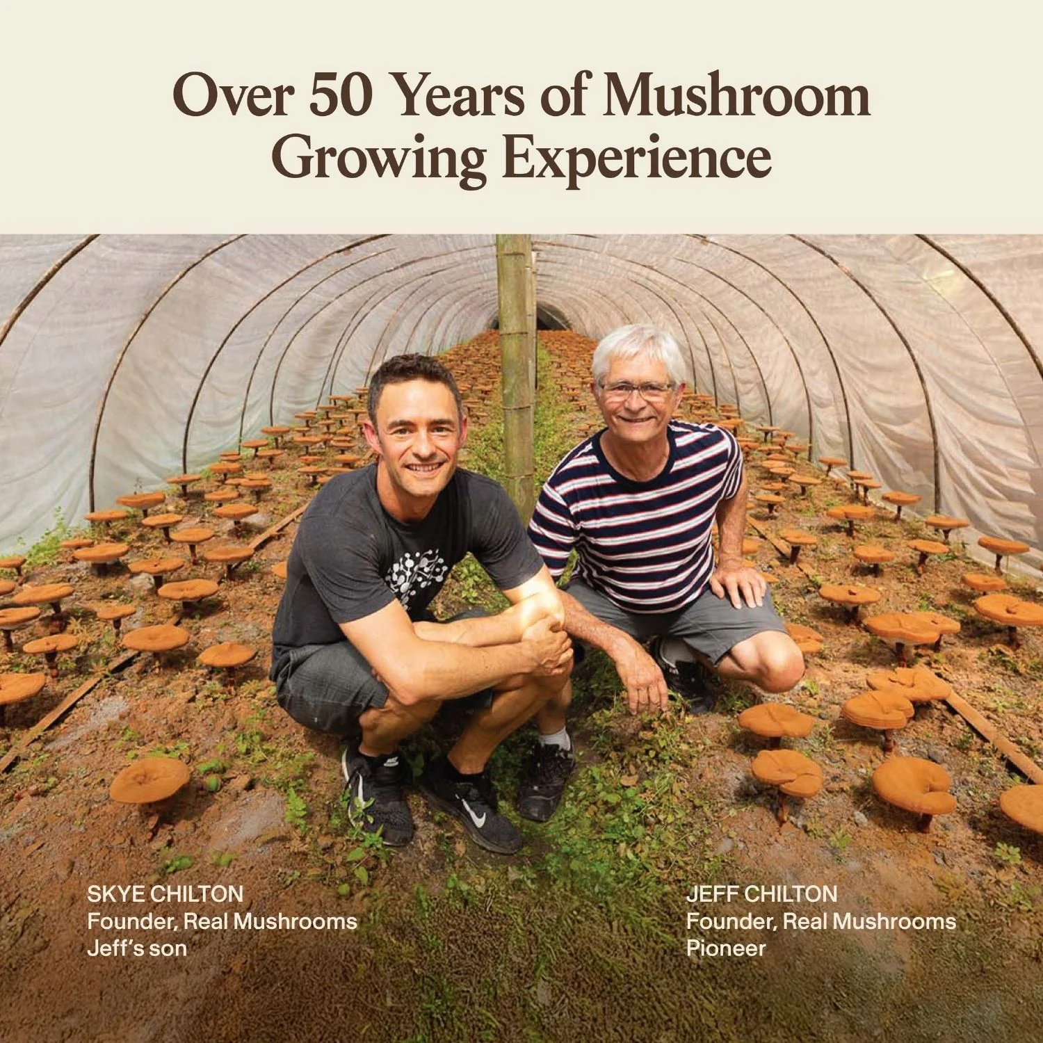 Organic Cordyceps-M® Extract Capsules - Image 11