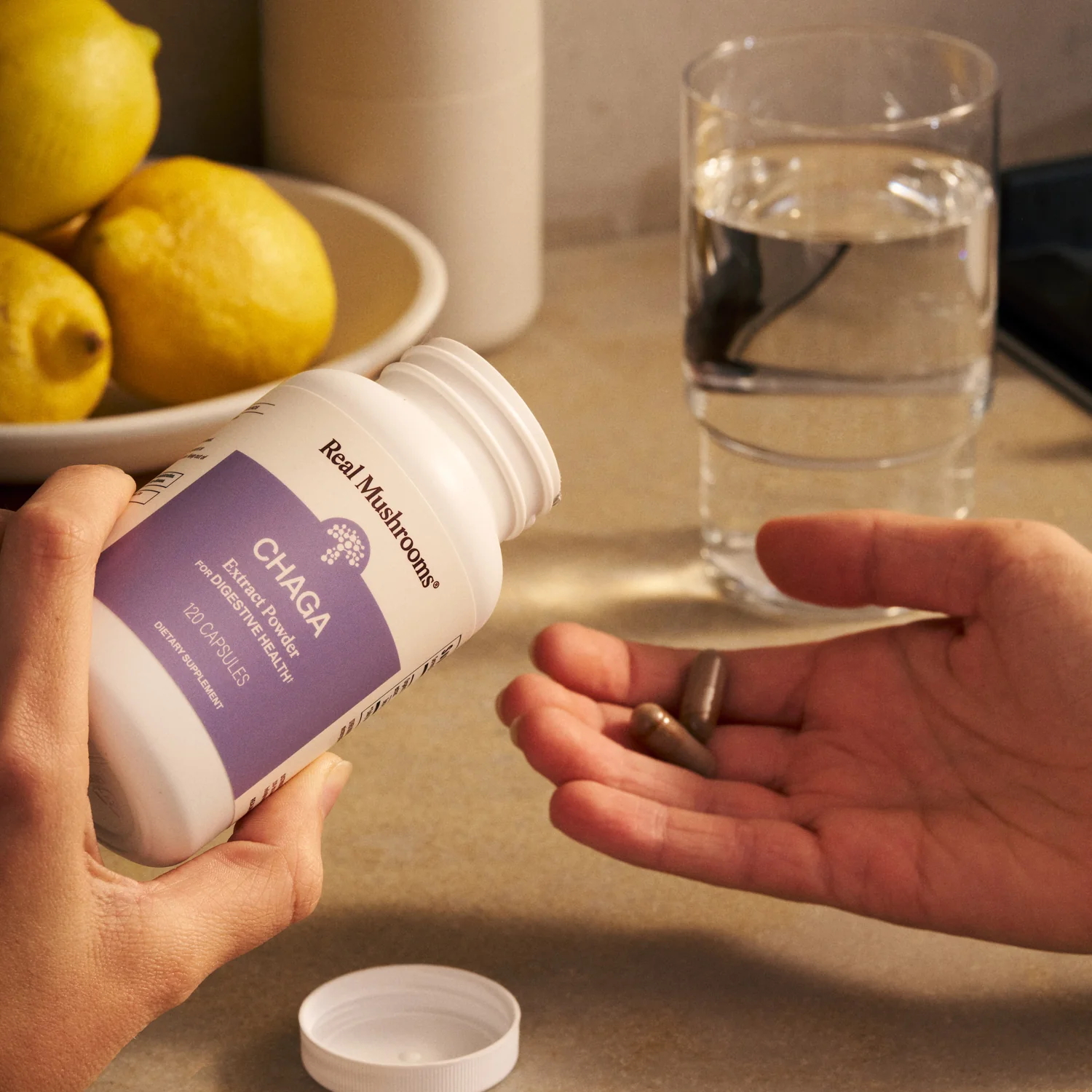 Organic Chaga Extract Capsules - Image 3