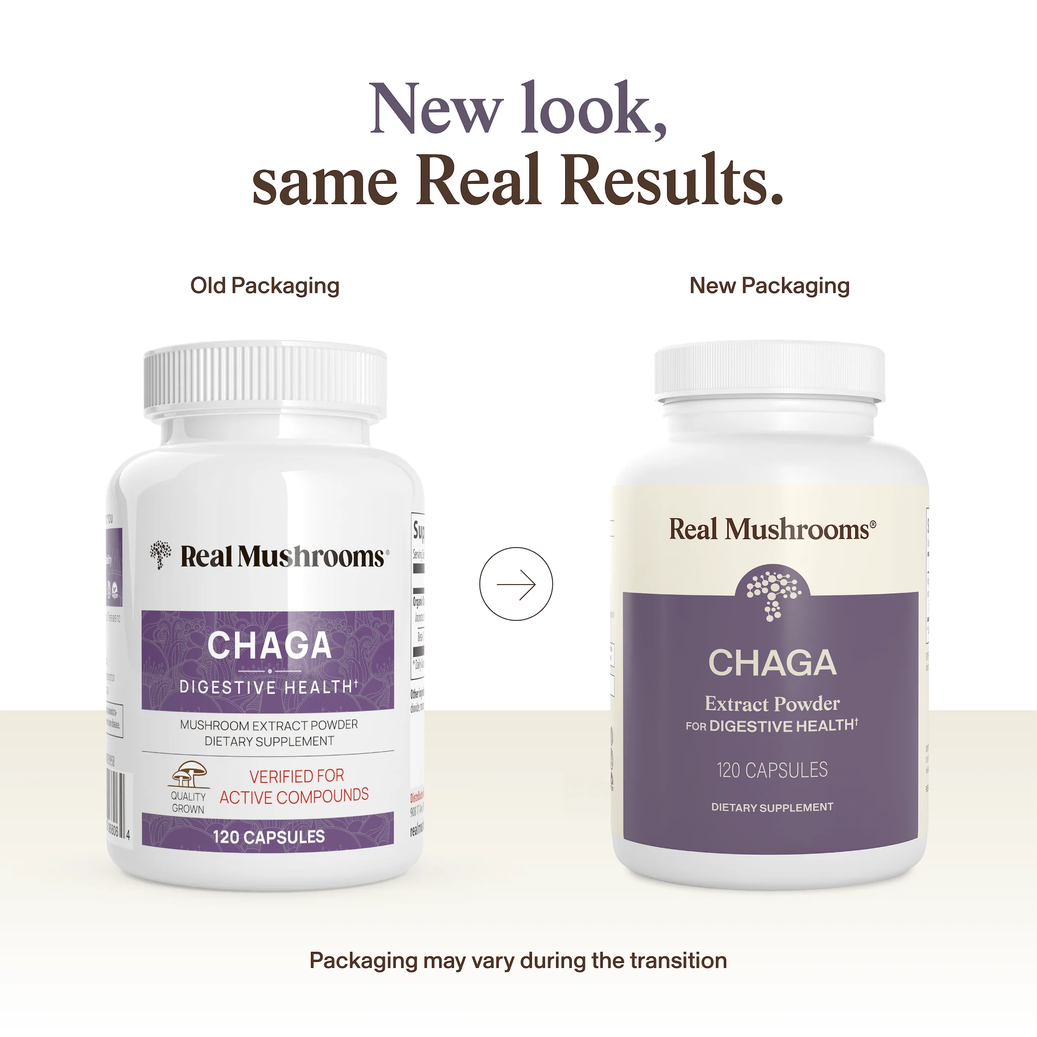Organic Chaga Extract Capsules - Image 4