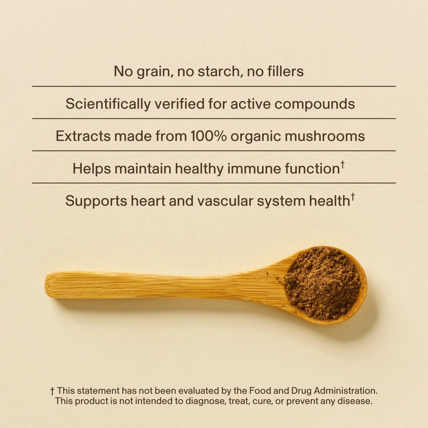 Organic Reishi Mushroom Capsules - Image 5