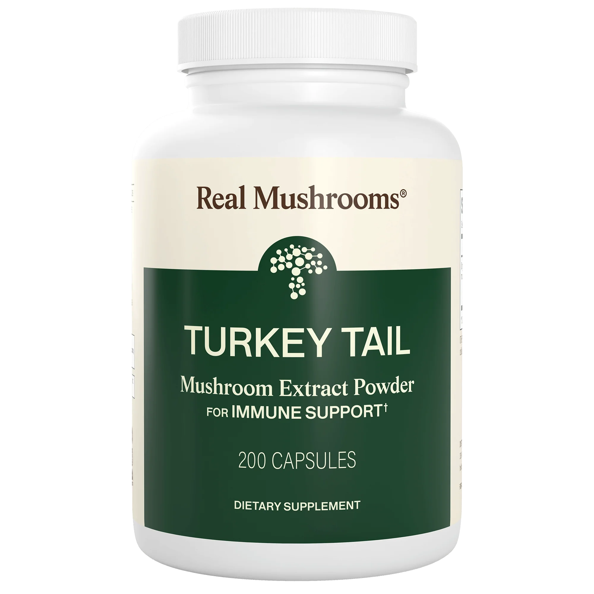Turkey Tail Mushroom Capsules - Image 12