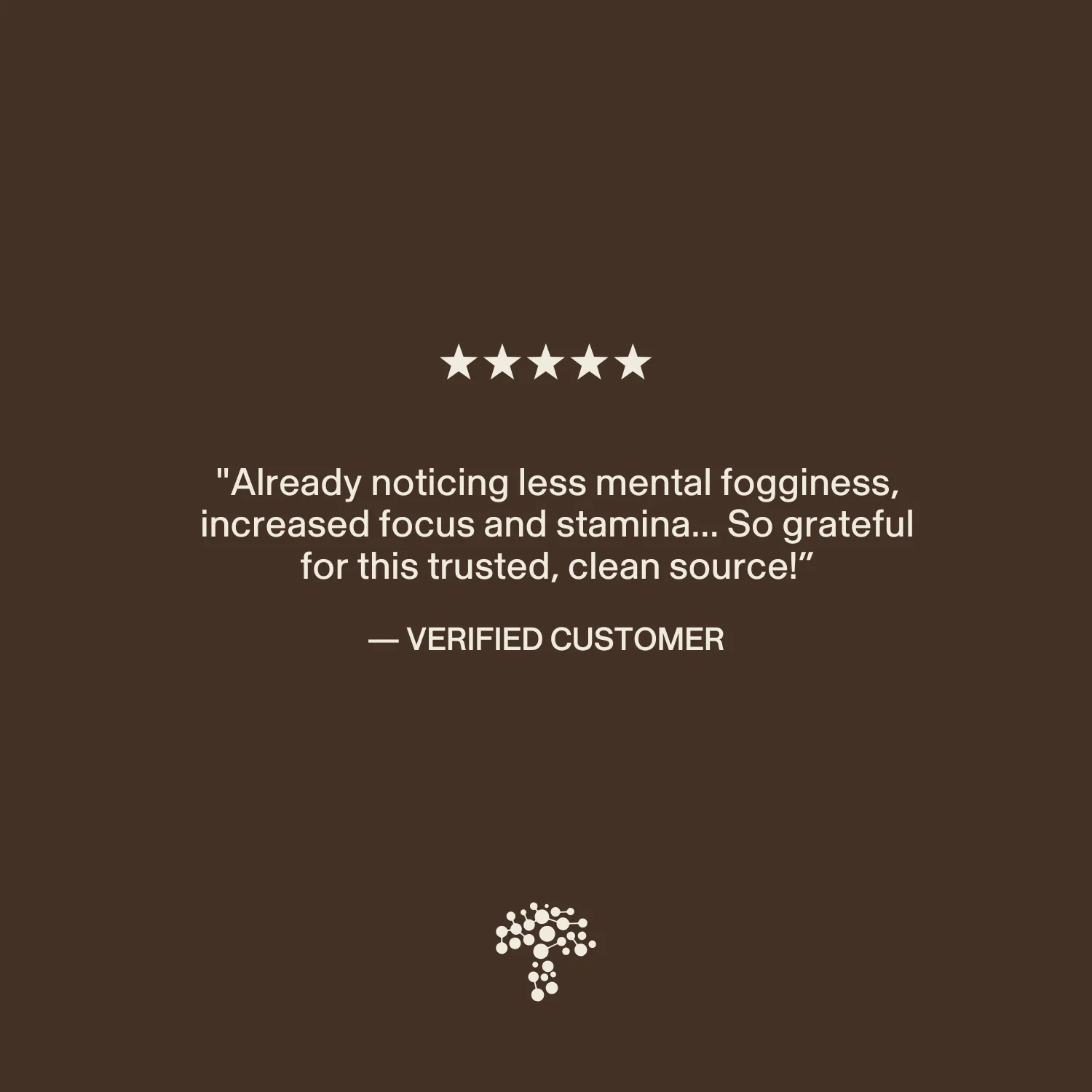 Organic Lion's Mane Extract Capsules - Image 10
