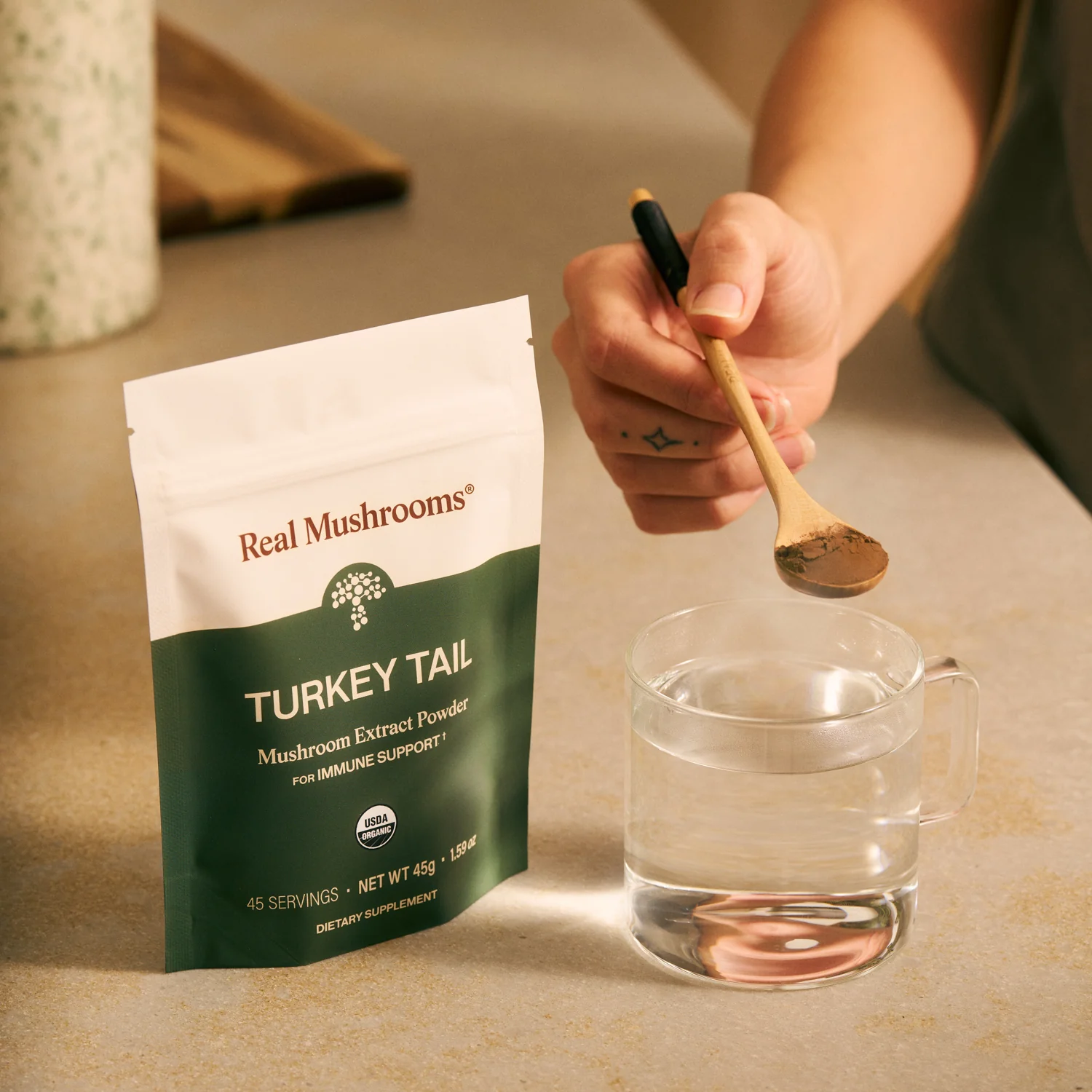 Turkey Tail Extract - Bulk Powder - Image 3