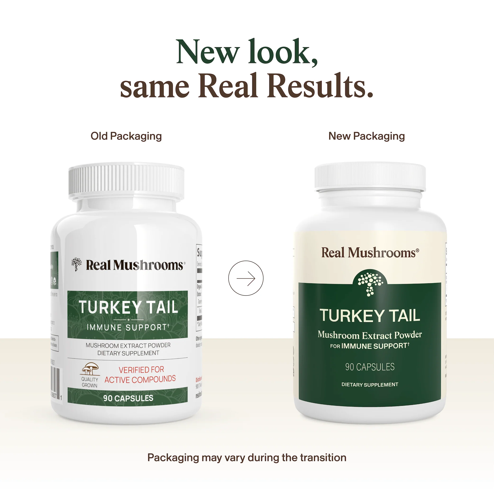 Turkey Tail Mushroom Capsules - Image 4